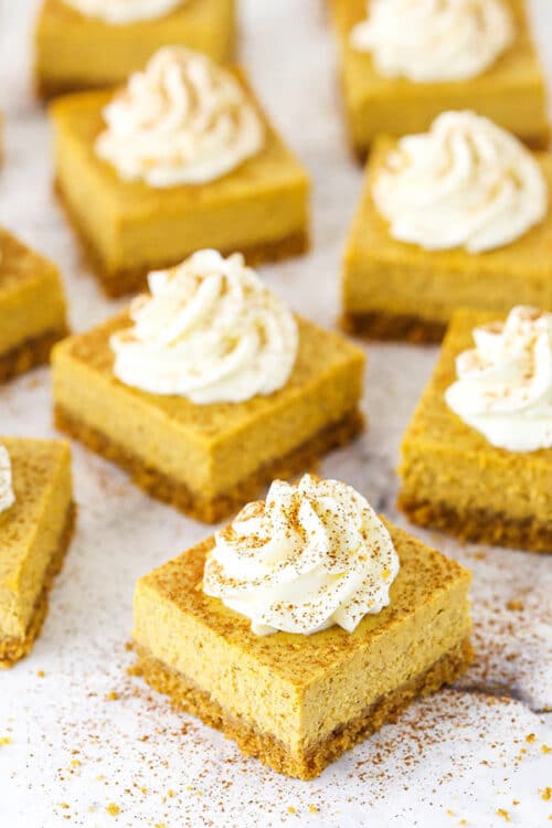 Pumpkin Cheesecake Bars Recipe | Easy Thanksgiving Party Food Idea