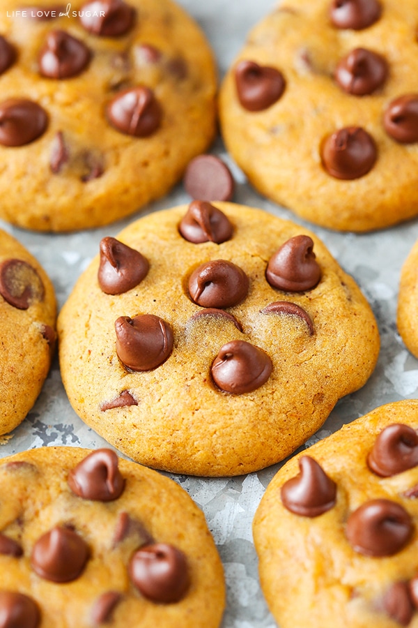 A Close-Up Shot of Pumpkin Cookies with Chocolate Chips