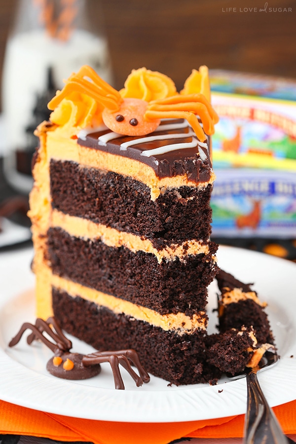 Best Spiderweb Chocolate Cake recipe