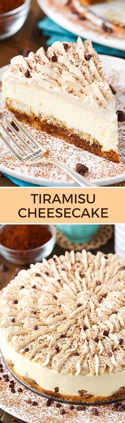 Tiramisu Cheesecake! Layers of ladyfingers, mascarpone filling and Kahlua whipped cream!