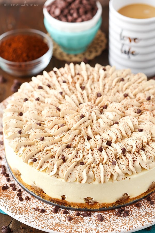 A tiramisu cheesecake dusted with cocoa powder