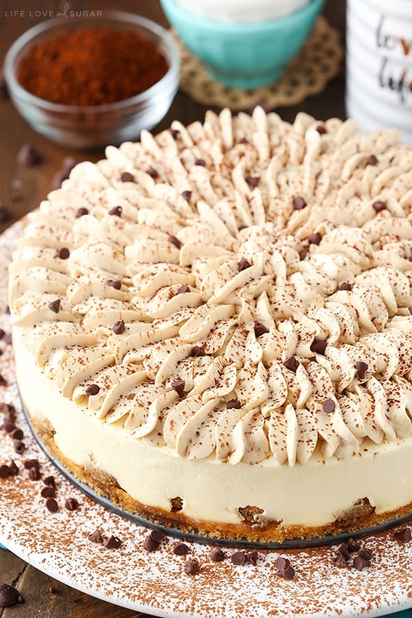 A tiramisu cheesecake on a white plate dusted with cocoa powder