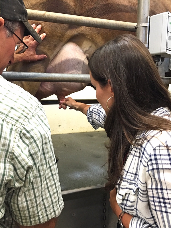 Lindsay Milking a Cow While a Dairy Farm Worker Watches