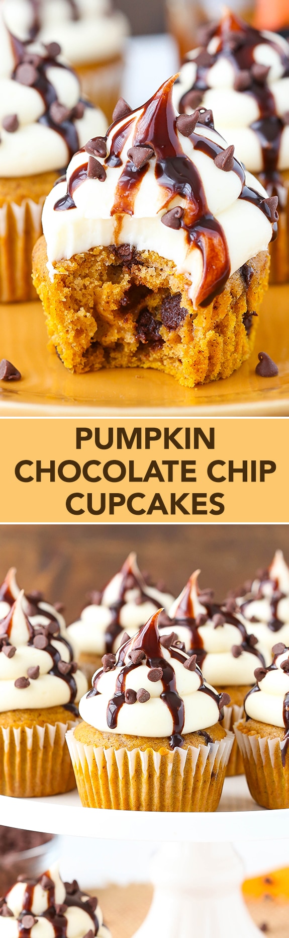 Pumpkin Chocolate Chip Cupcakes with Cream Cheese Frosting Pinterest image.