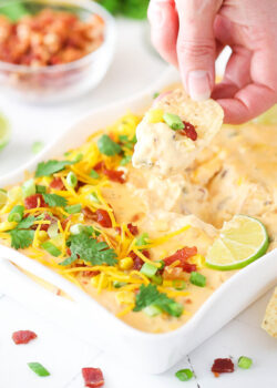 Bacon Cheddar Beer Cheese Dip in dish