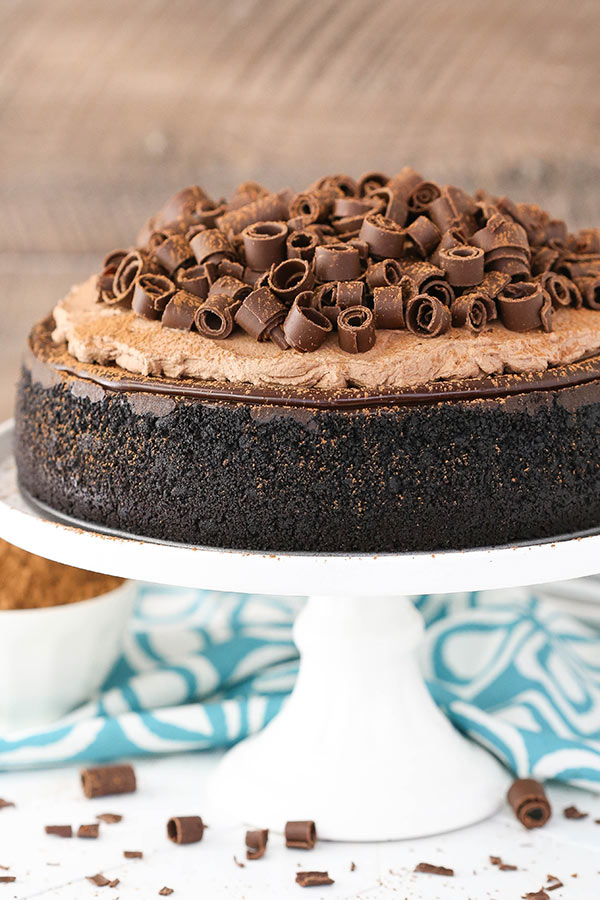 Cheesecake with Chocolate Swirls 