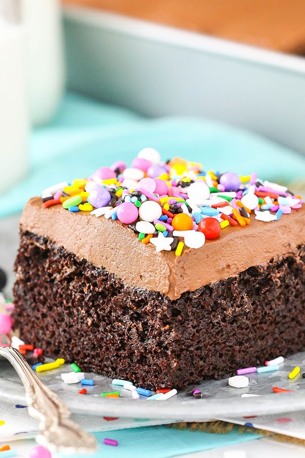 slice of moist chocolate cake with sprinkles