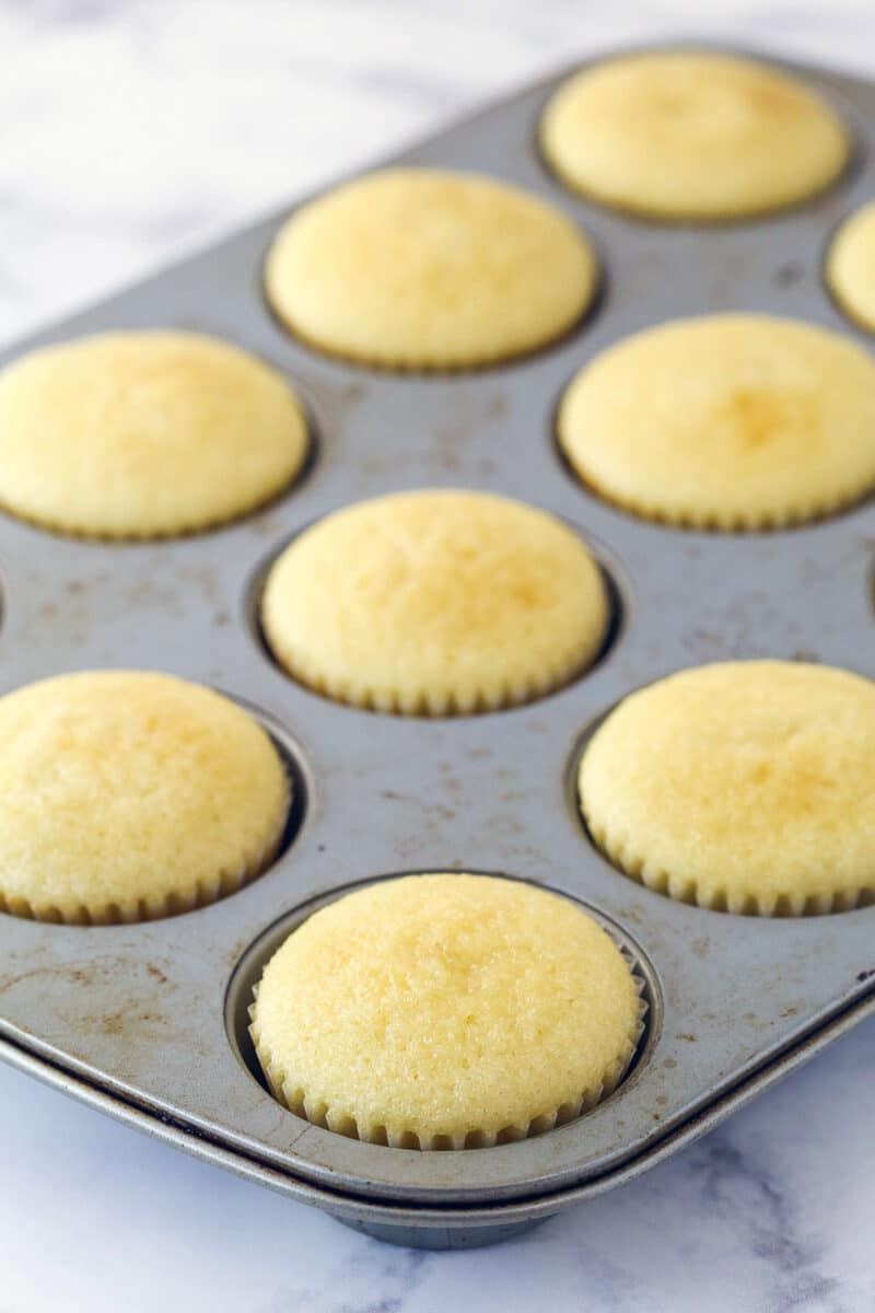 Moist vanilla cupcakes in a cupcake pan