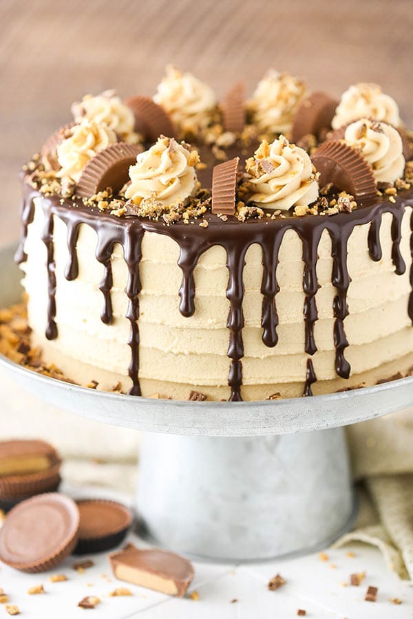 Peanut Butter Chocolate Layer Cake - Life Love and Sugar