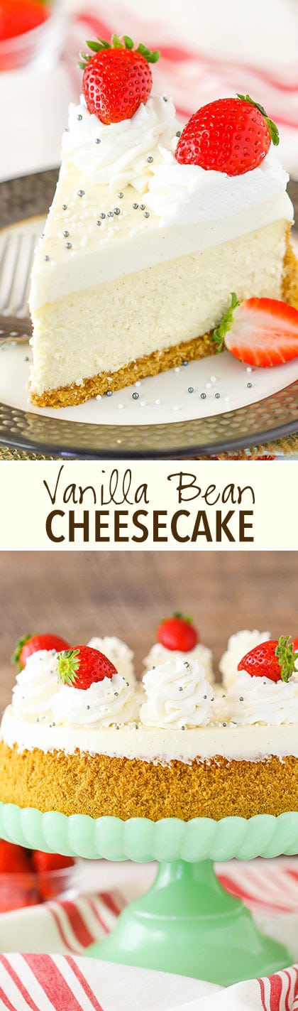 Vanilla Bean Cheesecake - a thick and creamy delicious vanilla bean cheesecake with mousse topping!