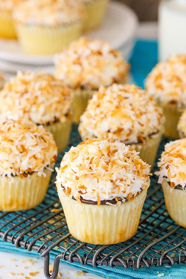 Best Coconut Macaroon Cupcakes