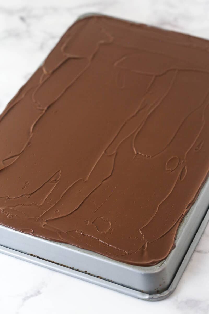 melted chocolate spread onto the back of a baking sheet