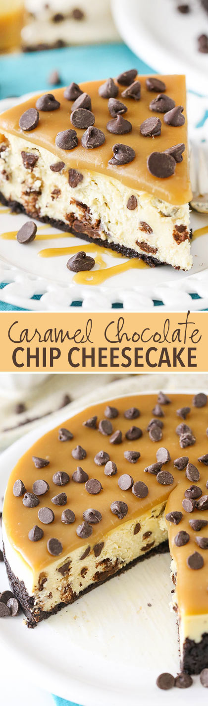 Caramel Chocolate Chip Cheesecake! Thick and creamy cheesecake studded with chocolate chips and topped with caramel sauce! So good!