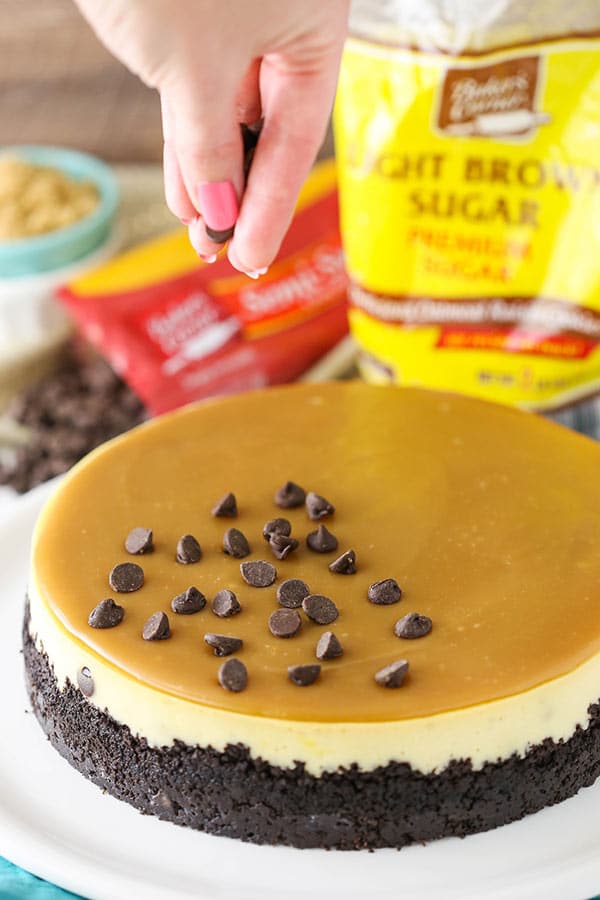 Homemade Caramel Cheesecake Recipe 