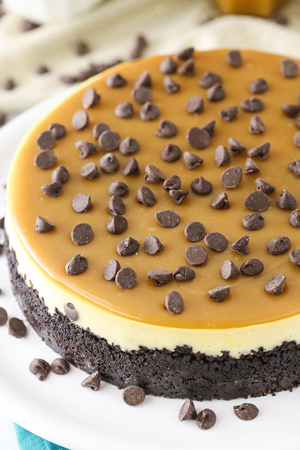 Easy Chocolate Chip Cheesecake Recipe 