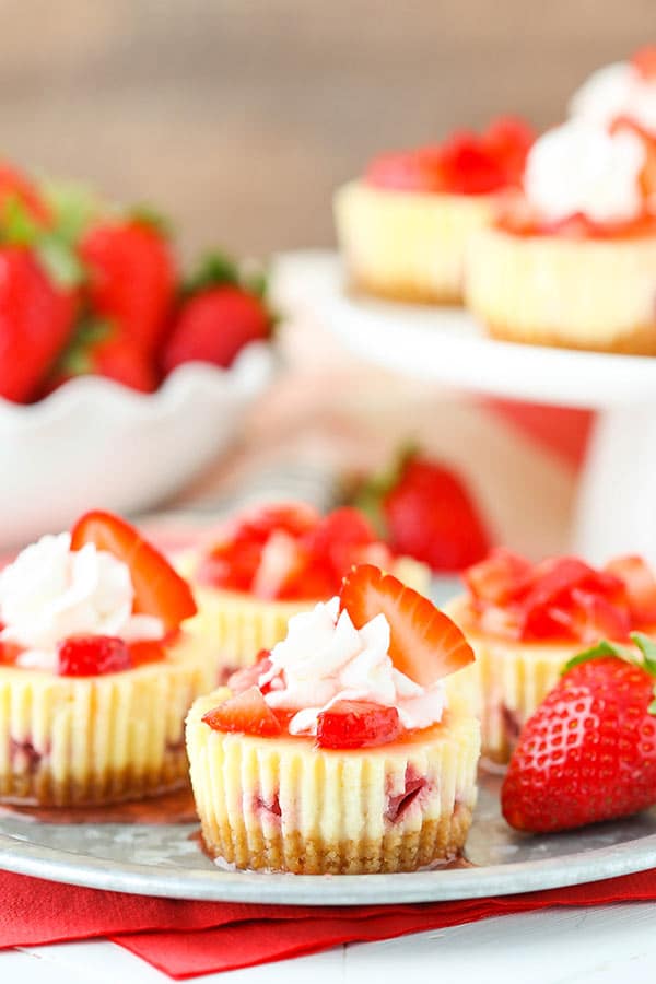 Easy Mini Cheesecakes Recipe