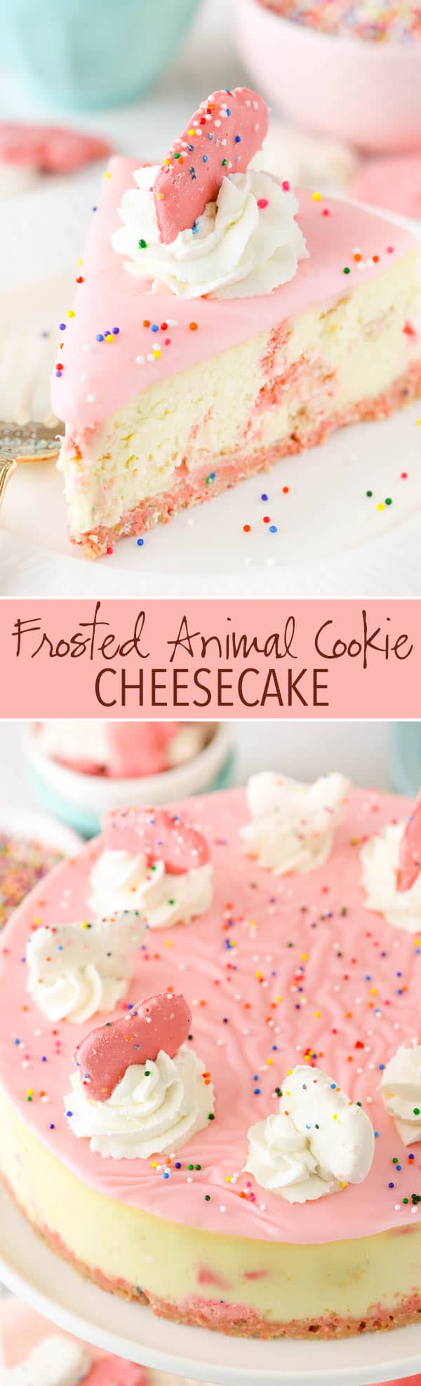 Frosted Animal Cookie Cheesecake - thick and cream vanilla cheesecake with frosted animal cookies in the crust and the filling! So good!