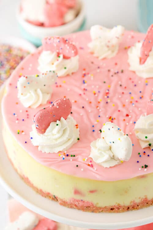 Frosted Animal Cookie Cheesecake Life Love and Sugar