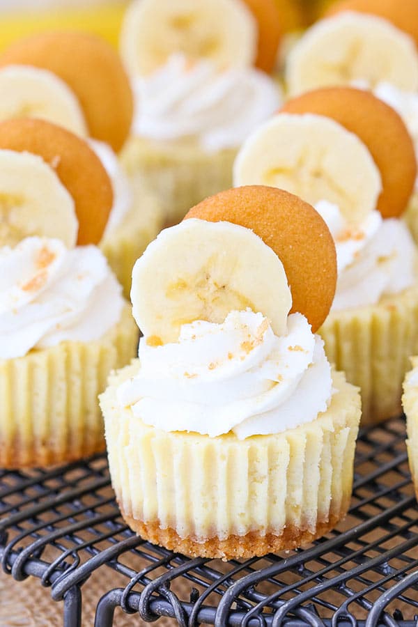 mini banana pudding cheesecakes