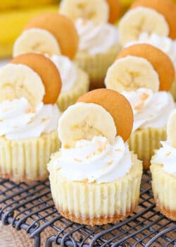 Banana Pudding Cheesecake image