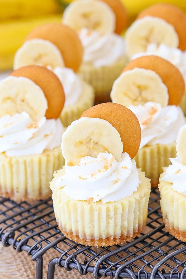 Mini Banana Pudding Cheesecake