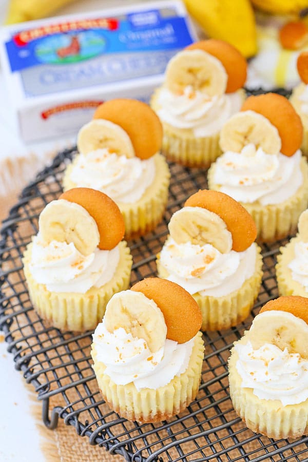 Best Banana Pudding Cheesecakes