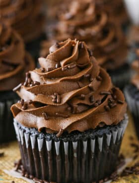 Close up of Moist Homemade Chocolate Cupcake with chocolate frosting