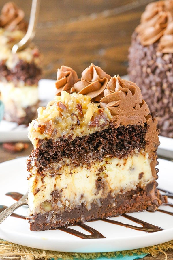 Outrageous Chocolate Coconut Cheesecake Cake - Life Love ...