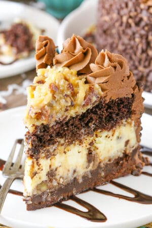 slice of Outrageous Chocolate Coconut Cheesecake