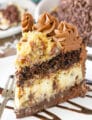 Outrageous Chocolate Coconut Cheesecake Cake - layers of chocolate cake, brownie, coconut chocolate chip cheesecake and coconut pecan filling!
