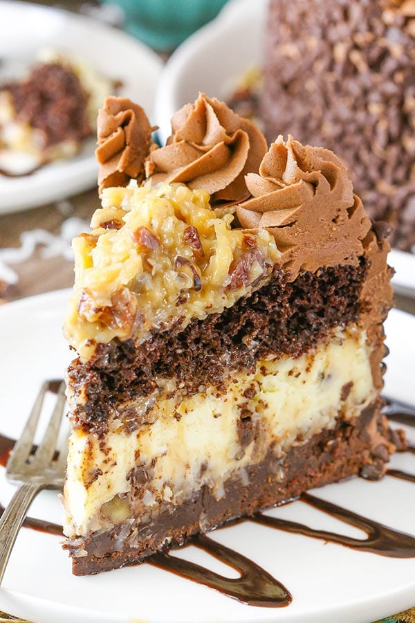 Outrageous Chocolate Coconut Cheesecake Cake - layers of chocolate cake, brownie, coconut chocolate chip cheesecake and coconut pecan filling! 