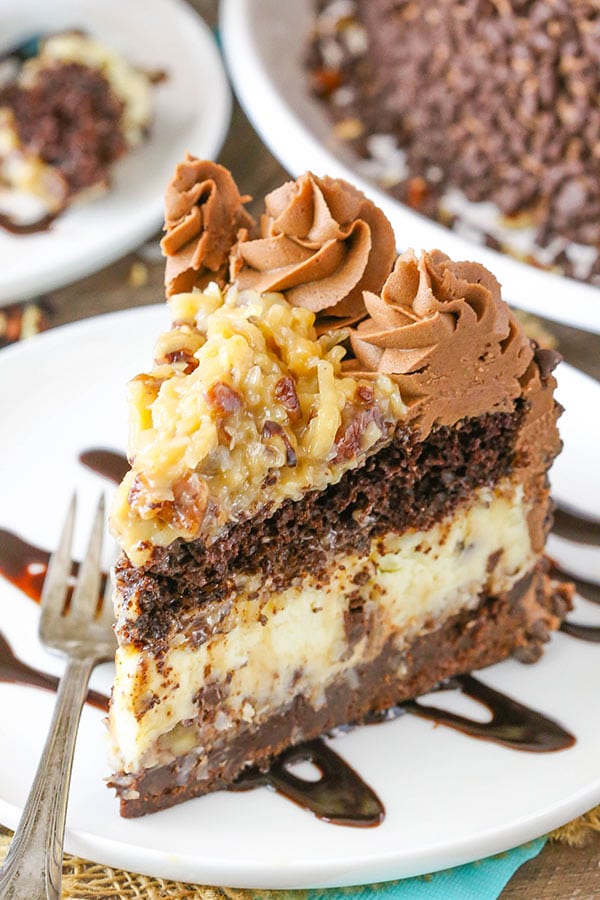 Outrageous Chocolate Coconut Cheesecake Cake - Life Love ...