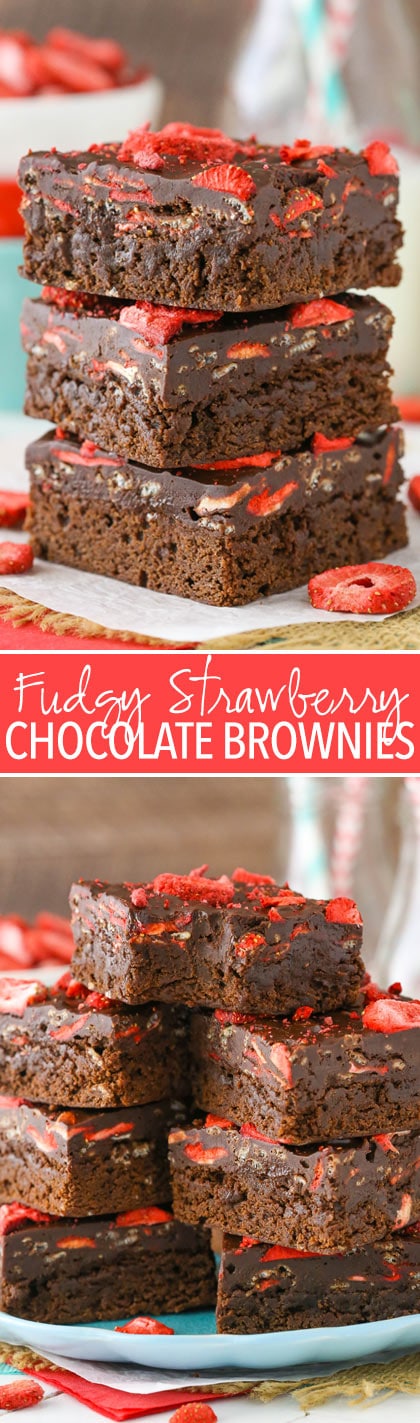 Fudgy Strawberry Chocolate Brownies - a brownie bottom and fudgy, strawberry-studded chocolate top! So good and easy to make!