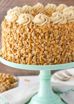 full image of Loaded Peanut Butter Layer Cake