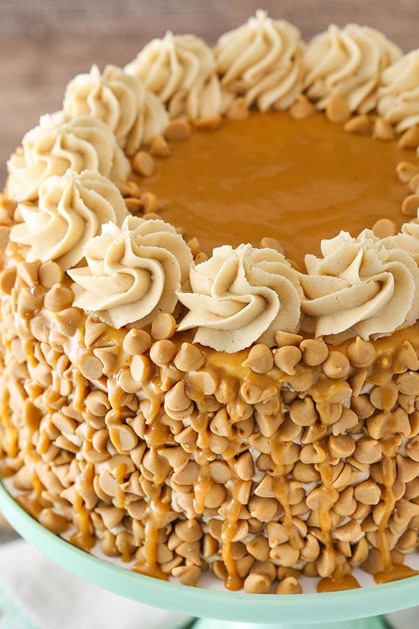 Loaded Peanut Butter Layer Cake