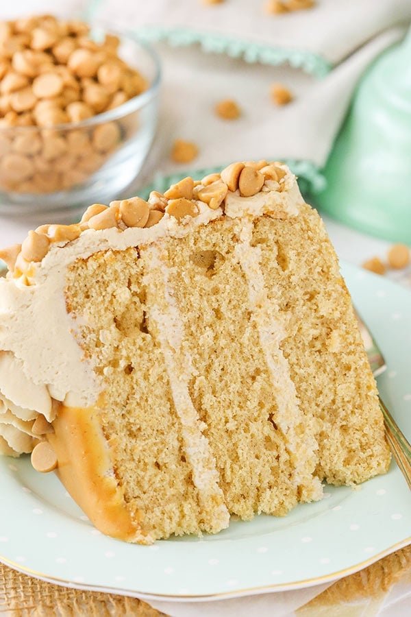 Loaded Peanut Butter Layer Cake slice