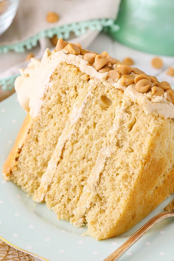 Loaded Peanut Butter Layer Cake recipe