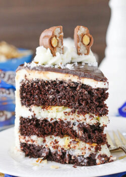 upright image of Almond Joy Layer Cake on plate