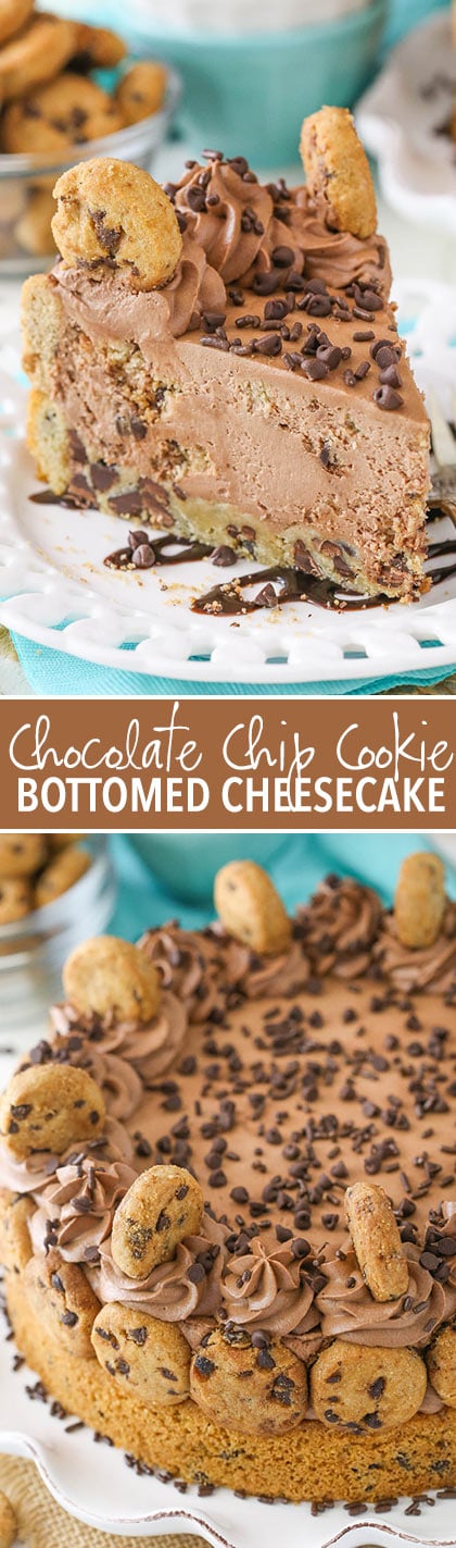 Chocolate Chip Cookie Bottomed Cheesecake - chewy chocolate chip cookie on the bottom and smooth chocolate cheesecake on top! YUM!