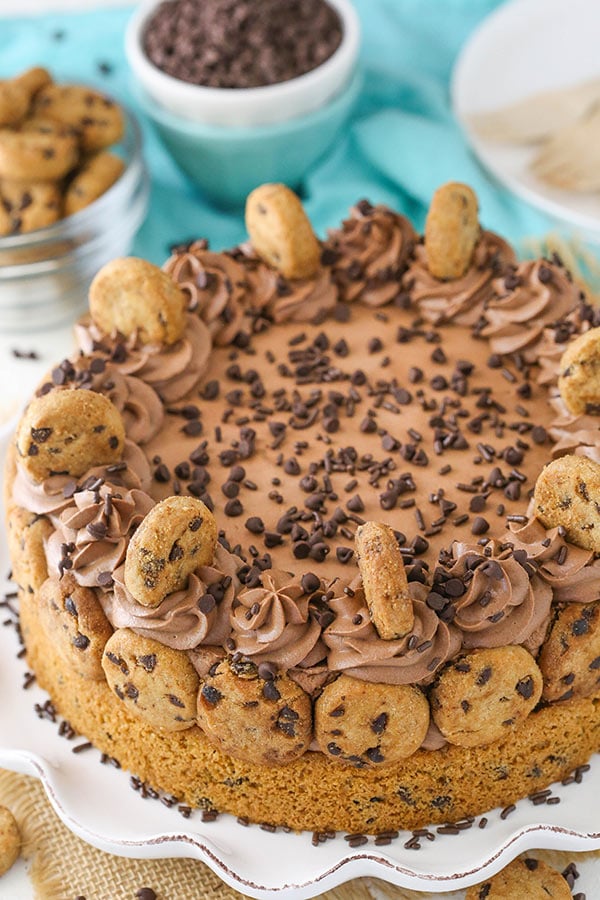 Best Chocolate Chip Cookie Crust Cheesecake Recipe 