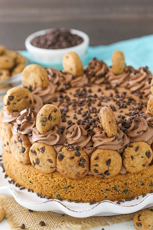 Chocolate Chip Cookie Cheesecake Recipe 