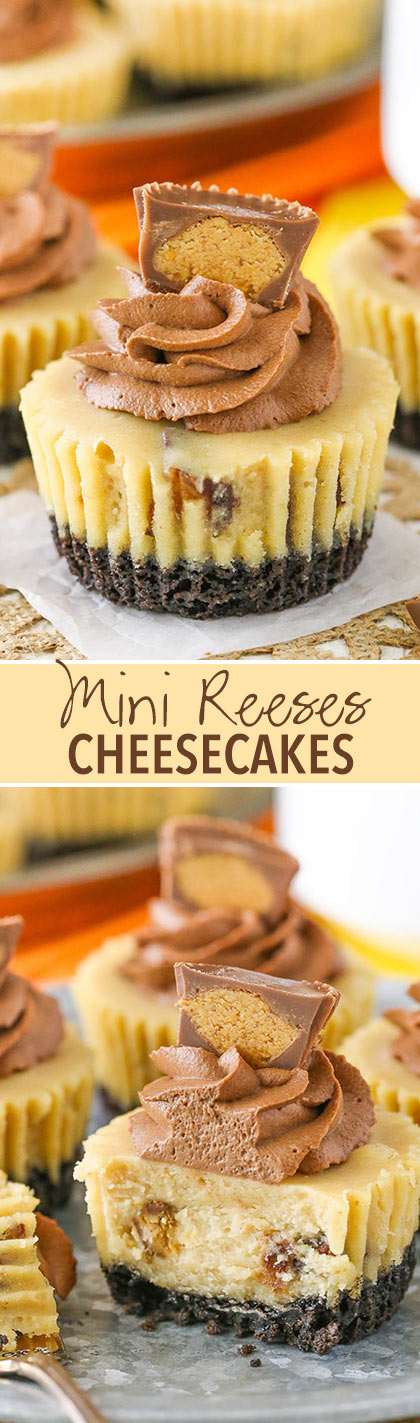 Mini Reeses Peanut Butter Cheesecakes - full of peanut butter and Reeses! 