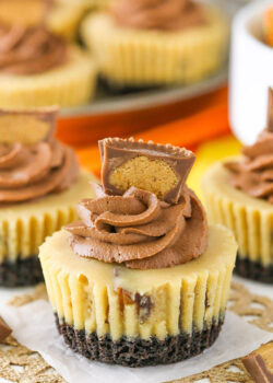 close up image of Mini Reeses Peanut Butter Cheesecakes