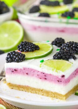 close up image of Blackberry Lime Lush on plate