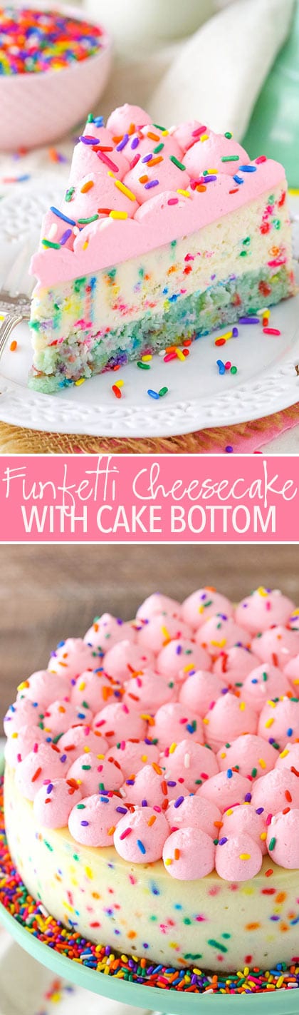 Funfetti Cheesecake with Cake Bottom - thick and creamy cheesecake with a cake bottom! So good!