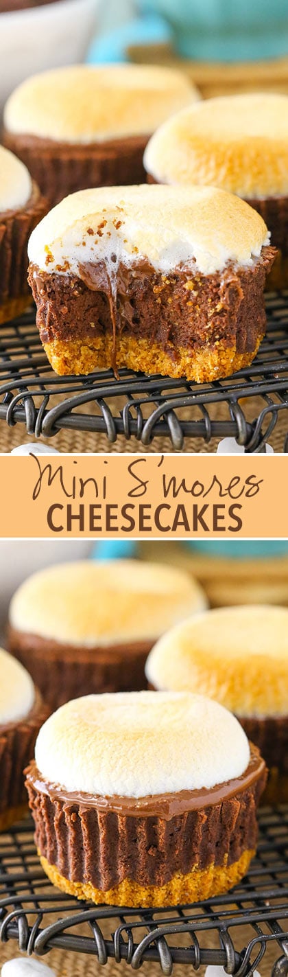Mini Smores Cheesecakes - a graham cracker crust, chocolate filling, melted chocolate and melty marshmallow!