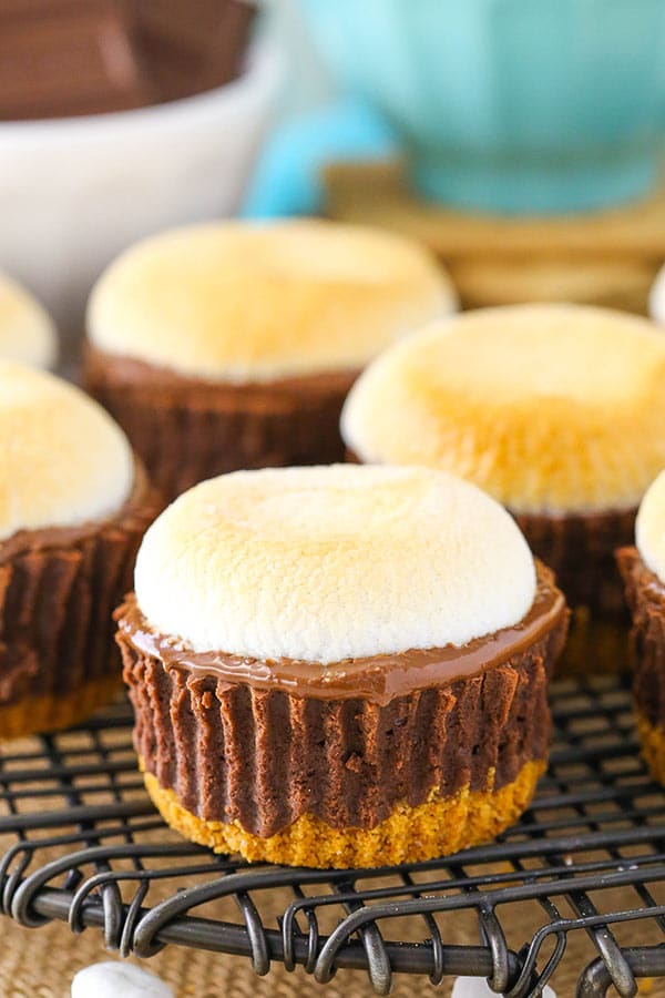 Mini S'mores Cheesecakes Recipe