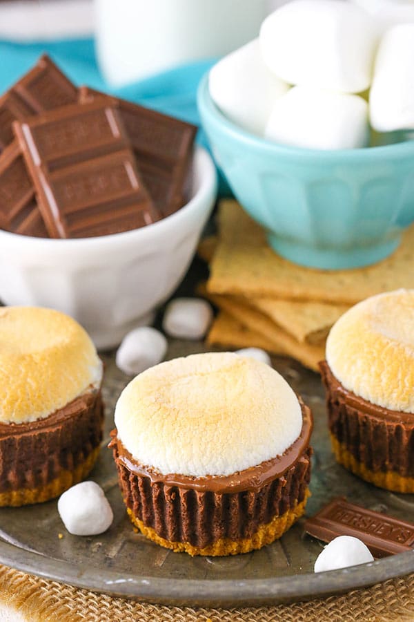 Homemade Mini S'mores Cheesecakes