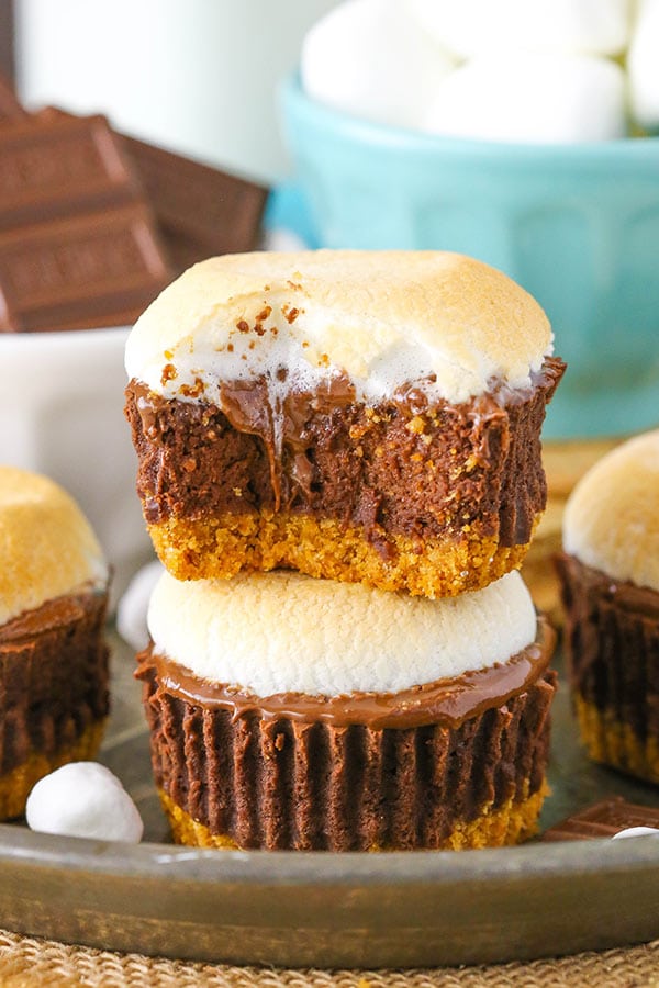 Best Mini S'mores Cheesecakes