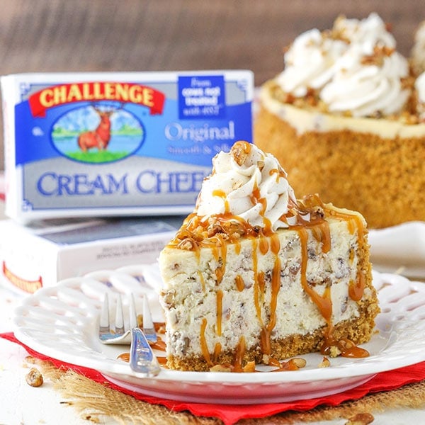 Butter Pecan Cheesecake Recipe 